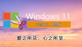 【不忘初心美化版】Windows11 24H2 (26100.2454) X64 无更新[精简版]
