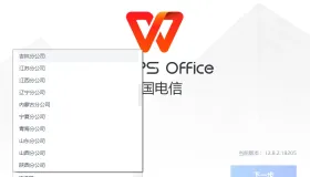 Windows WPS Office 电信单位定制版永久激活